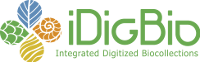 Logo for iDigBio, or, Integrated Digitized Biocollections